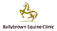 Ballybrown Equine Clinic